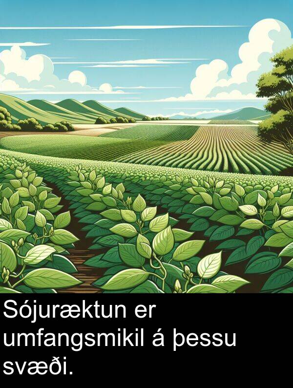þessu: Sójuræktun er umfangsmikil á þessu svæði.