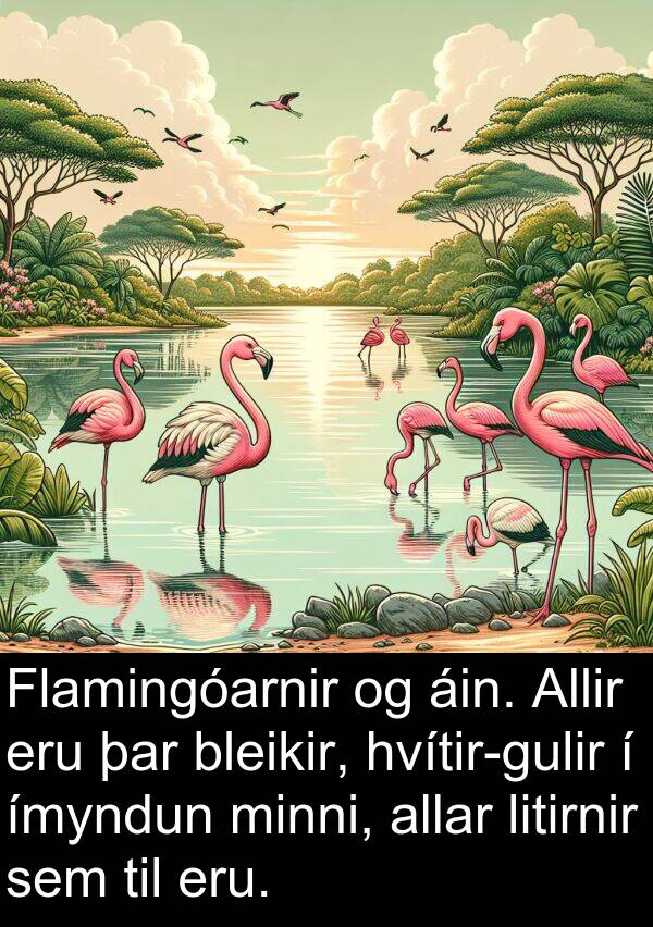 ímyndun: Flamingóarnir og áin. Allir eru þar bleikir, hvítir-gulir í ímyndun minni, allar litirnir sem til eru.