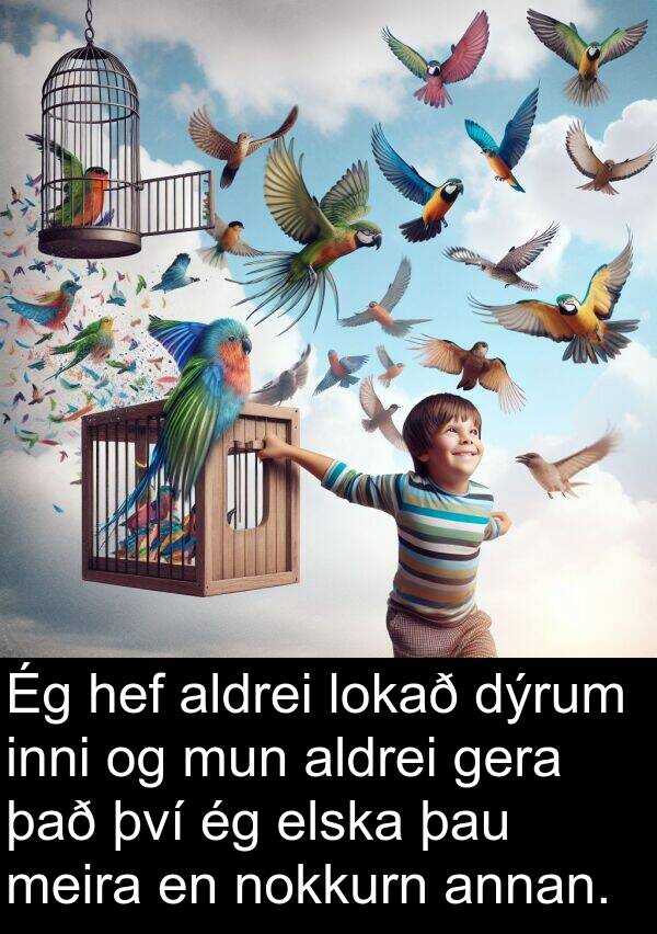 aldrei: Ég hef aldrei lokað dýrum inni og mun aldrei gera það því ég elska þau meira en nokkurn annan.