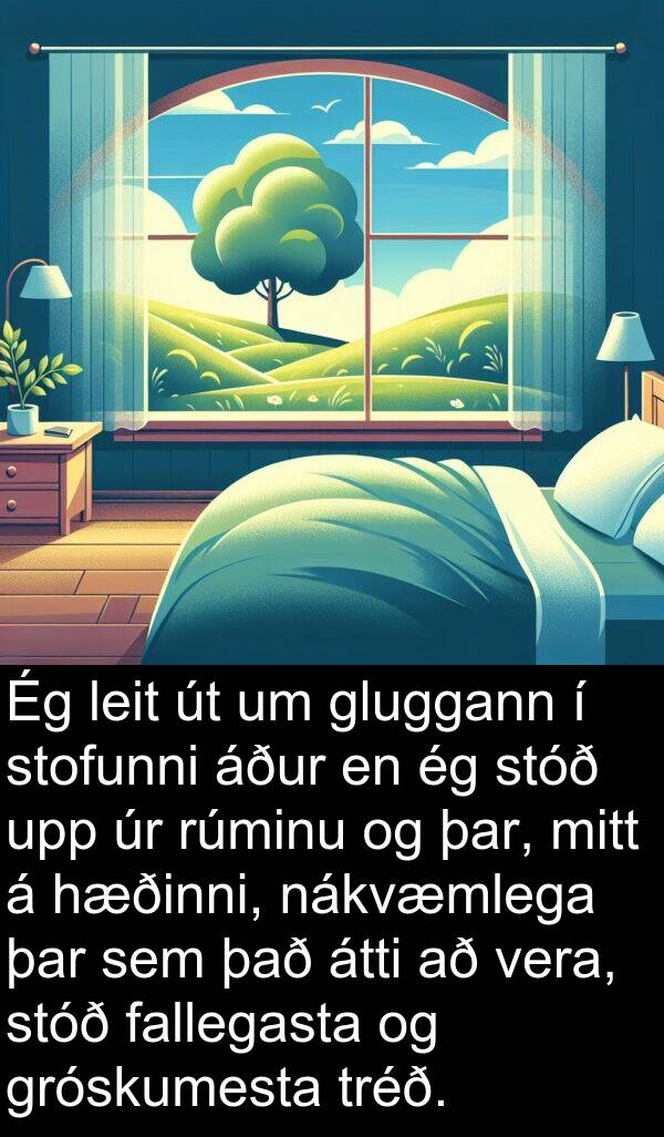 fallegasta: Ég leit út um gluggann í stofunni áður en ég stóð upp úr rúminu og þar, mitt á hæðinni, nákvæmlega þar sem það átti að vera, stóð fallegasta og gróskumesta tréð.
