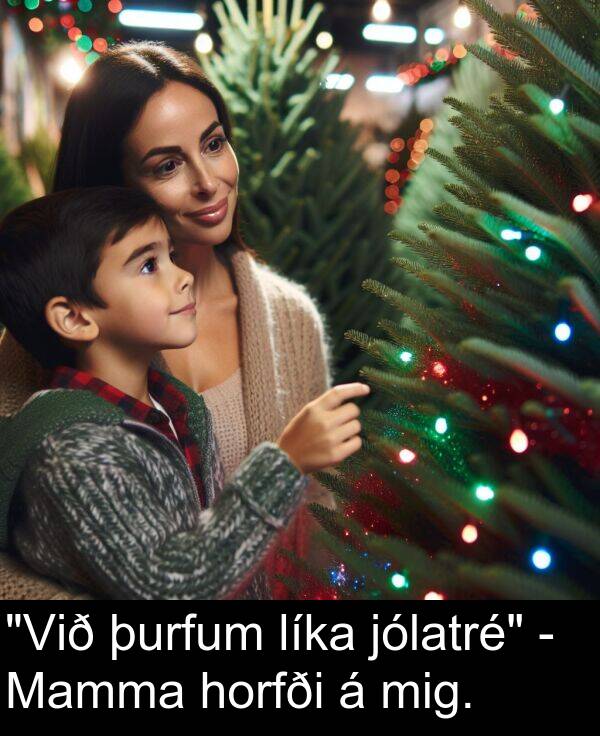 þurfum: "Við þurfum líka jólatré" - Mamma horfði á mig.