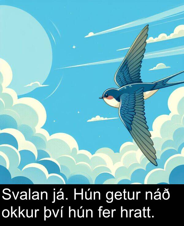 því: Svalan já. Hún getur náð okkur því hún fer hratt.
