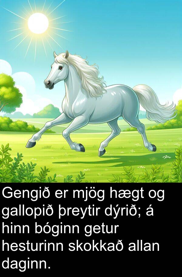þreytir: Gengið er mjög hægt og gallopið þreytir dýrið; á hinn bóginn getur hesturinn skokkað allan daginn.