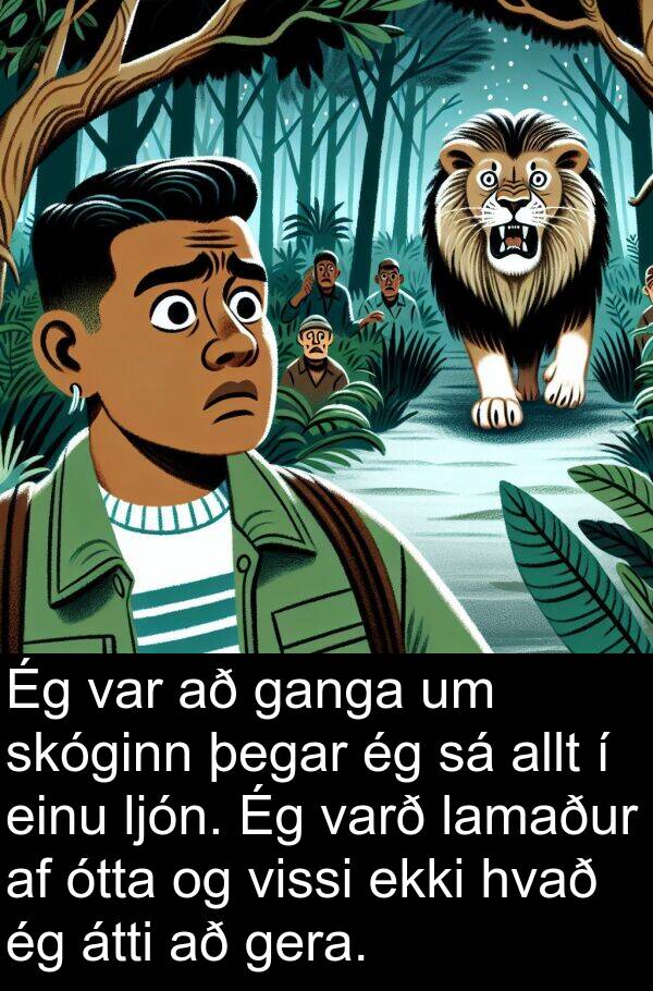 lamaður: Ég var að ganga um skóginn þegar ég sá allt í einu ljón. Ég varð lamaður af ótta og vissi ekki hvað ég átti að gera.