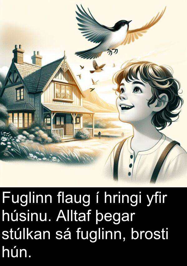 brosti: Fuglinn flaug í hringi yfir húsinu. Alltaf þegar stúlkan sá fuglinn, brosti hún.