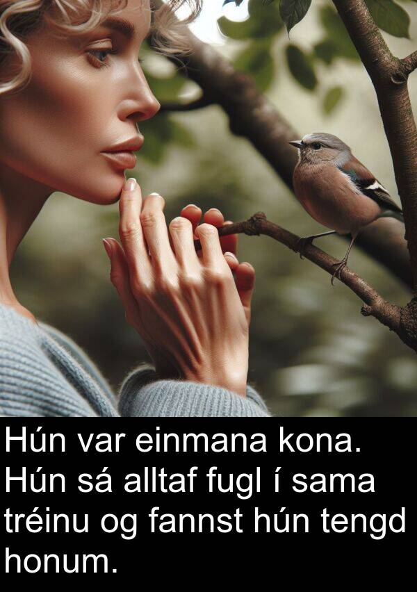 einmana: Hún var einmana kona. Hún sá alltaf fugl í sama tréinu og fannst hún tengd honum.