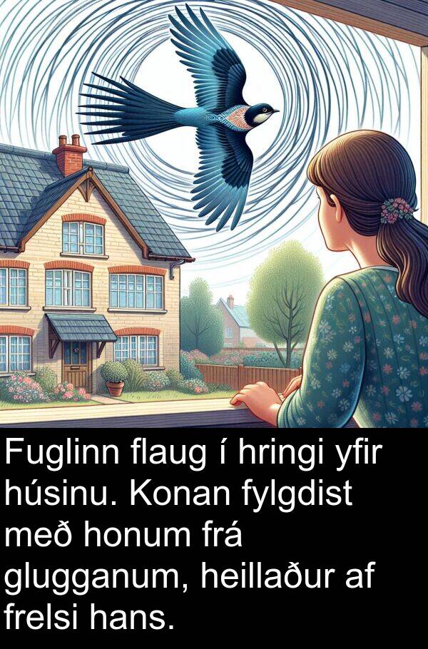 glugganum: Fuglinn flaug í hringi yfir húsinu. Konan fylgdist með honum frá glugganum, heillaður af frelsi hans.
