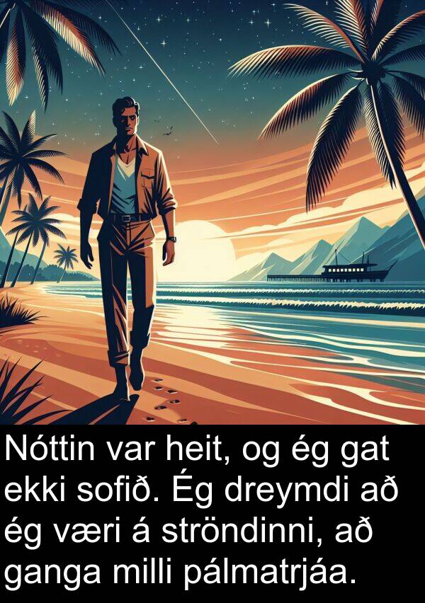 dreymdi: Nóttin var heit, og ég gat ekki sofið. Ég dreymdi að ég væri á ströndinni, að ganga milli pálmatrjáa.