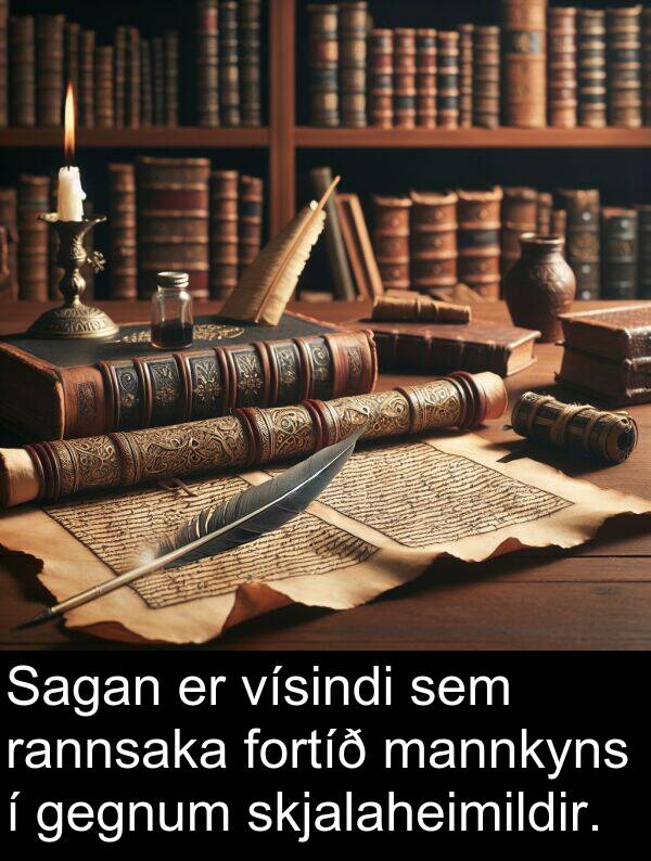 rannsaka: Sagan er vísindi sem rannsaka fortíð mannkyns í gegnum skjalaheimildir.