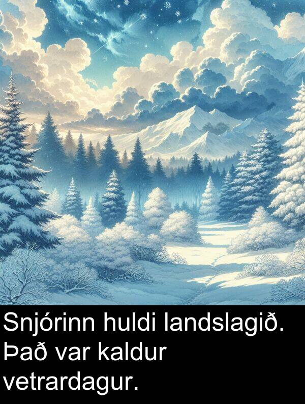 kaldur: Snjórinn huldi landslagið. Það var kaldur vetrardagur.