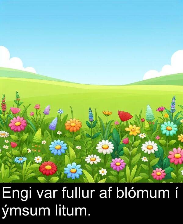 ýmsum: Engi var fullur af blómum í ýmsum litum.