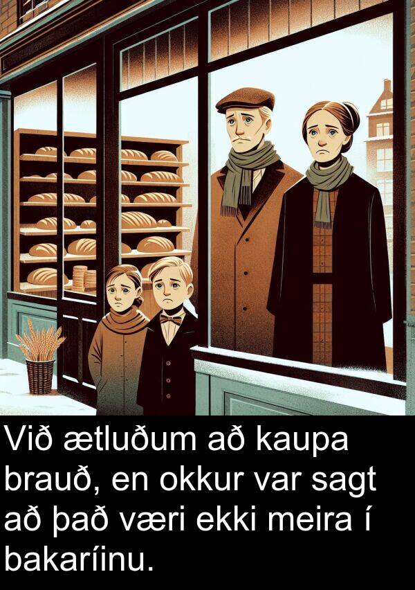 kaupa: Við ætluðum að kaupa brauð, en okkur var sagt að það væri ekki meira í bakaríinu.