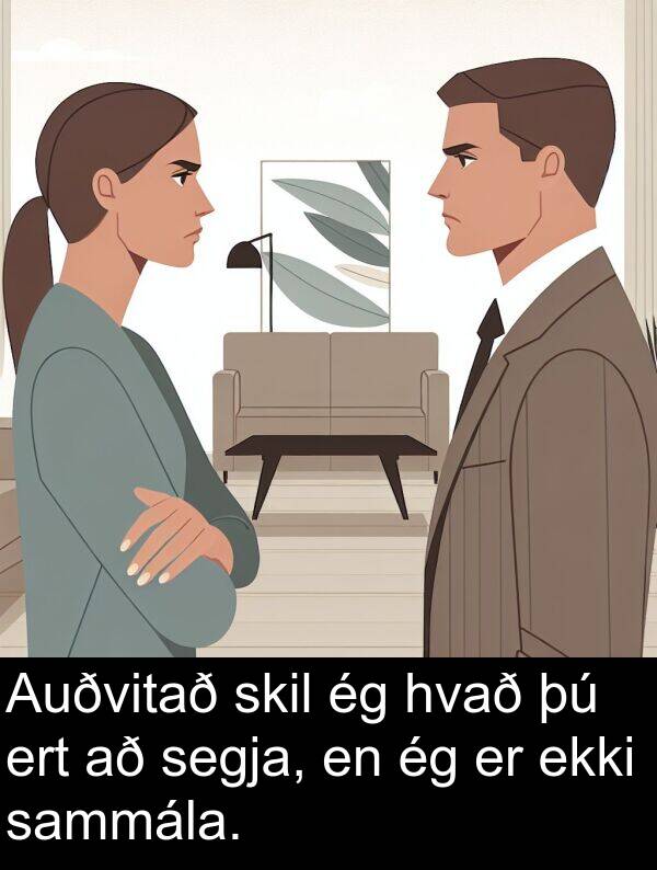segja: Auðvitað skil ég hvað þú ert að segja, en ég er ekki sammála.