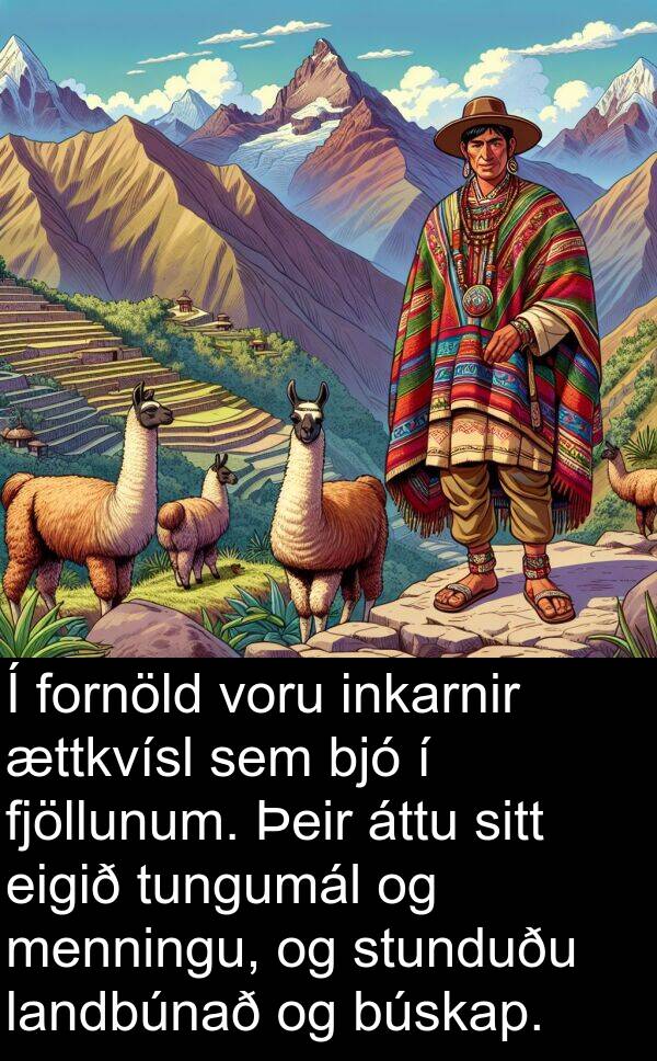 inkarnir: Í fornöld voru inkarnir ættkvísl sem bjó í fjöllunum. Þeir áttu sitt eigið tungumál og menningu, og stunduðu landbúnað og búskap.