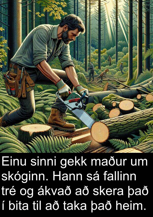 gekk: Einu sinni gekk maður um skóginn. Hann sá fallinn tré og ákvað að skera það í bita til að taka það heim.