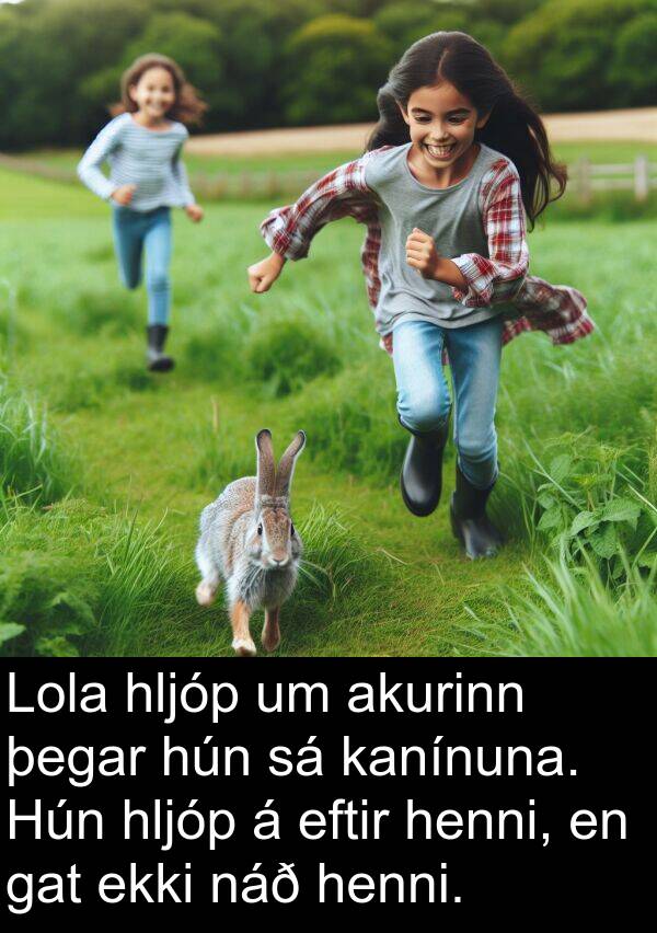 akurinn: Lola hljóp um akurinn þegar hún sá kanínuna. Hún hljóp á eftir henni, en gat ekki náð henni.