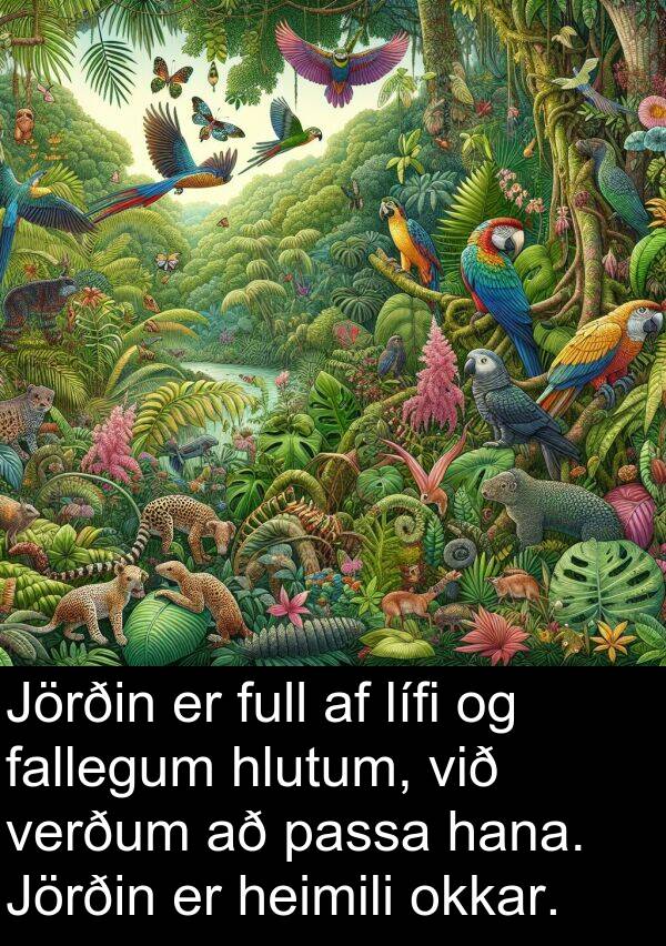 fallegum: Jörðin er full af lífi og fallegum hlutum, við verðum að passa hana. Jörðin er heimili okkar.