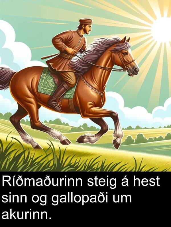 akurinn: Ríðmaðurinn steig á hest sinn og gallopaði um akurinn.