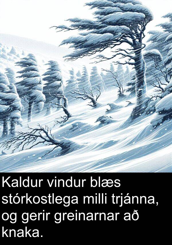 gerir: Kaldur vindur blæs stórkostlega milli trjánna, og gerir greinarnar að knaka.