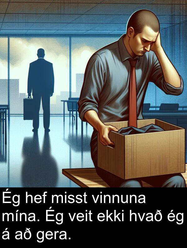 gera: Ég hef misst vinnuna mína. Ég veit ekki hvað ég á að gera.