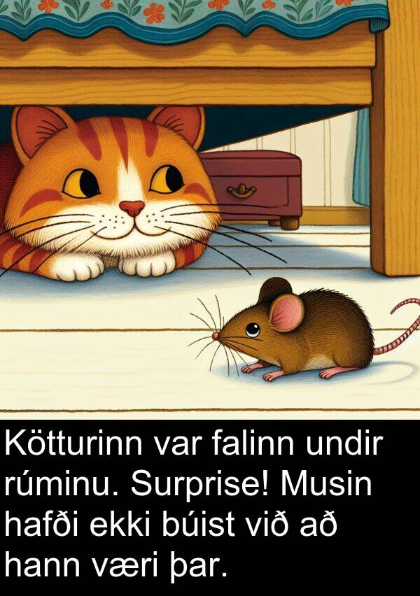 falinn: Kötturinn var falinn undir rúminu. Surprise! Musin hafði ekki búist við að hann væri þar.