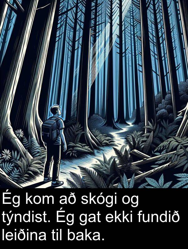 baka: Ég kom að skógi og týndist. Ég gat ekki fundið leiðina til baka.