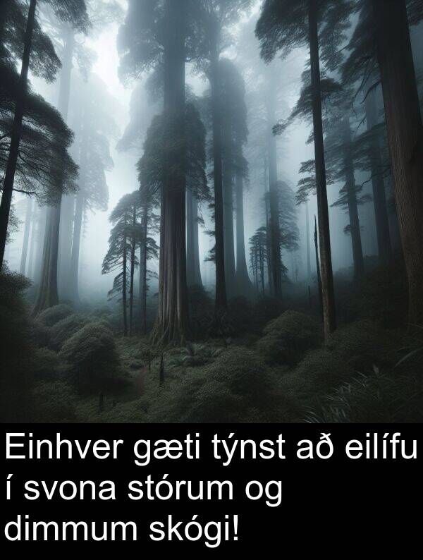 dimmum: Einhver gæti týnst að eilífu í svona stórum og dimmum skógi!