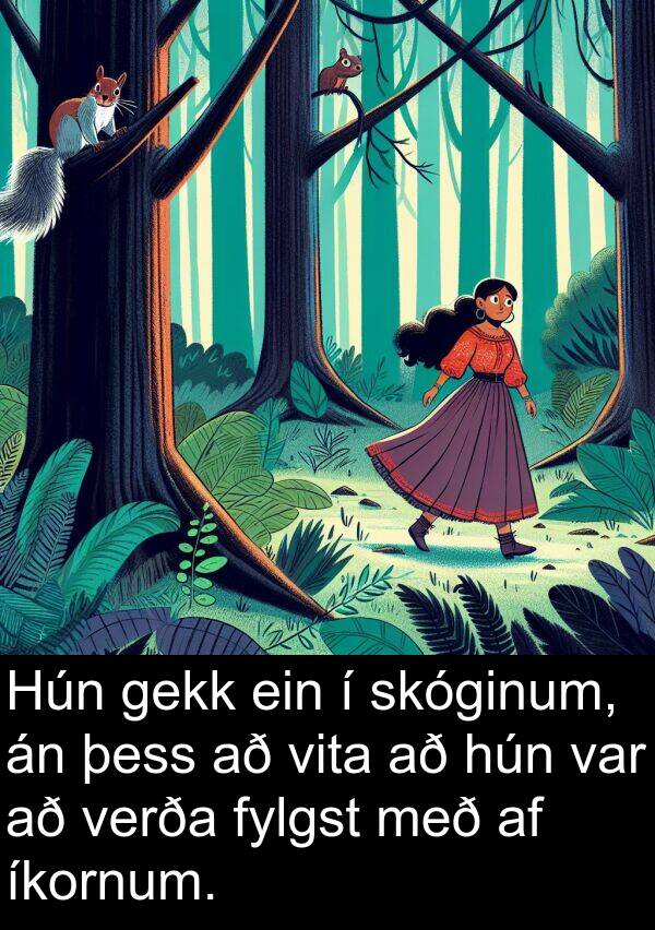 gekk: Hún gekk ein í skóginum, án þess að vita að hún var að verða fylgst með af íkornum.