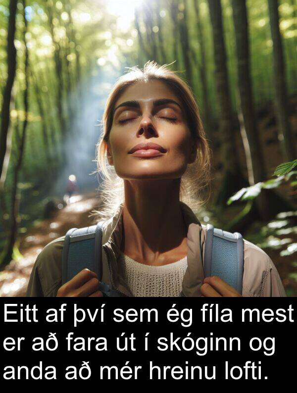 fíla: Eitt af því sem ég fíla mest er að fara út í skóginn og anda að mér hreinu lofti.
