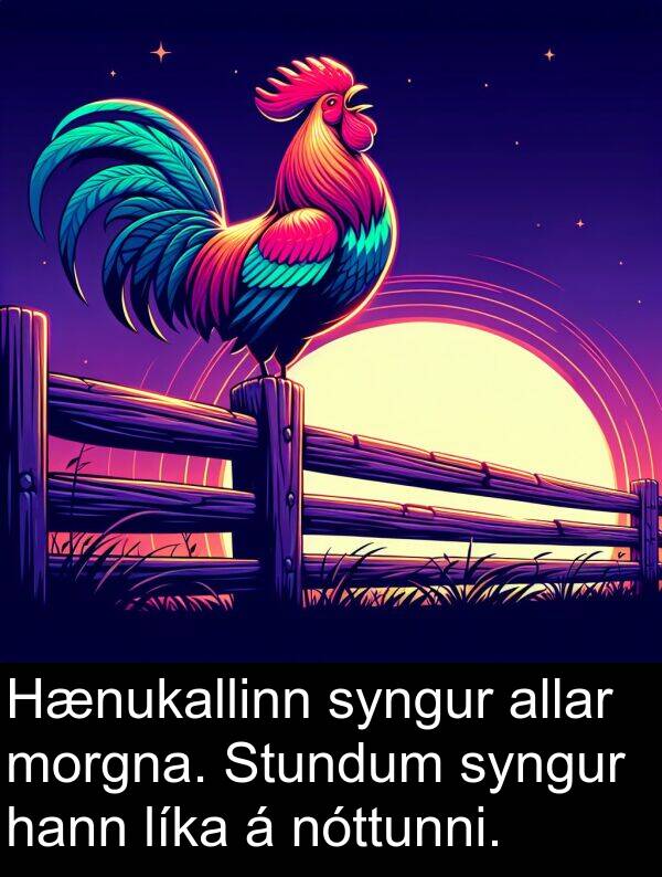allar: Hænukallinn syngur allar morgna. Stundum syngur hann líka á nóttunni.
