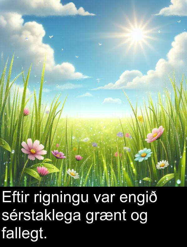 fallegt: Eftir rigningu var engið sérstaklega grænt og fallegt.