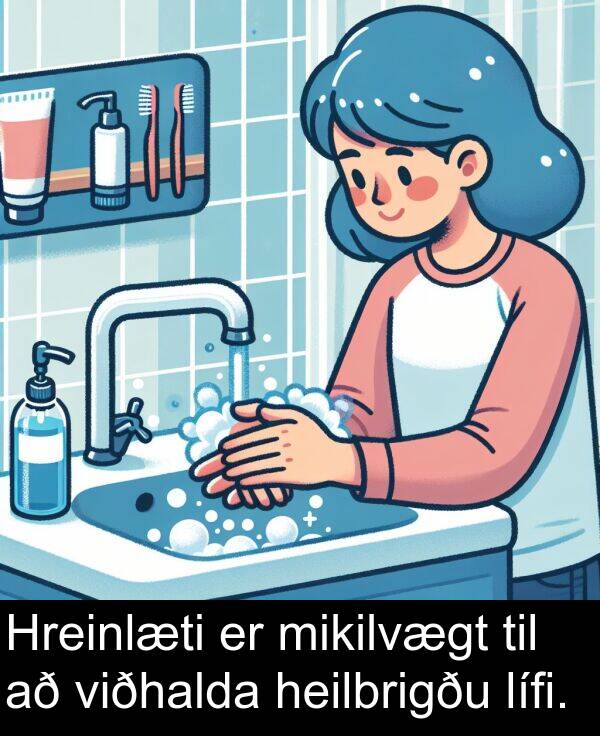 heilbrigðu: Hreinlæti er mikilvægt til að viðhalda heilbrigðu lífi.