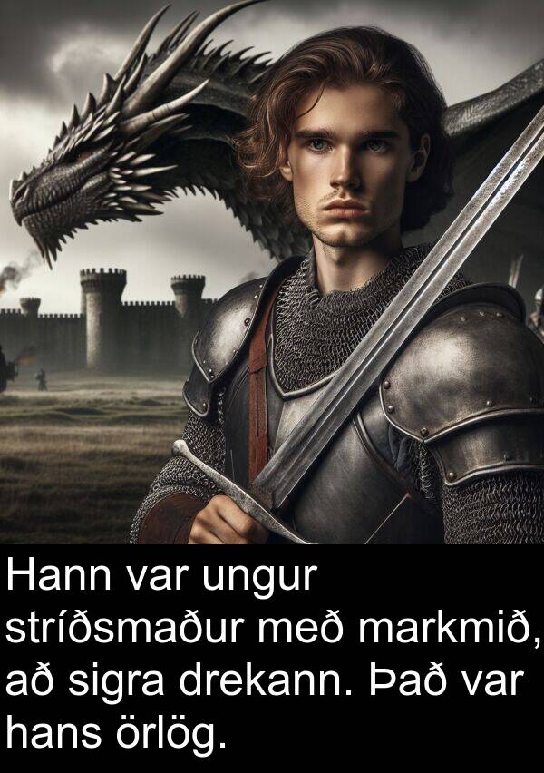 örlög: Hann var ungur stríðsmaður með markmið, að sigra drekann. Það var hans örlög.