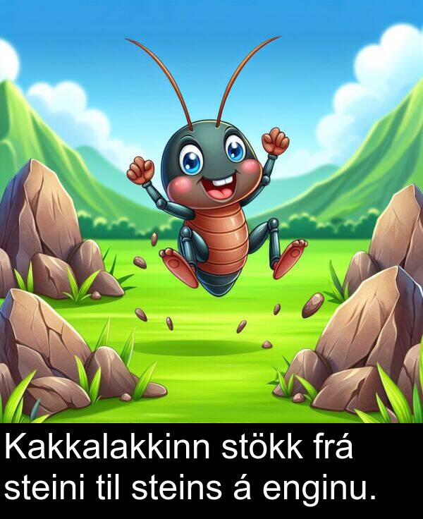 steins: Kakkalakkinn stökk frá steini til steins á enginu.