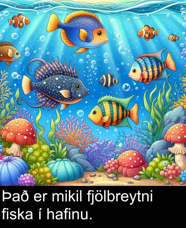 hafinu: Það er mikil fjölbreytni fiska í hafinu.