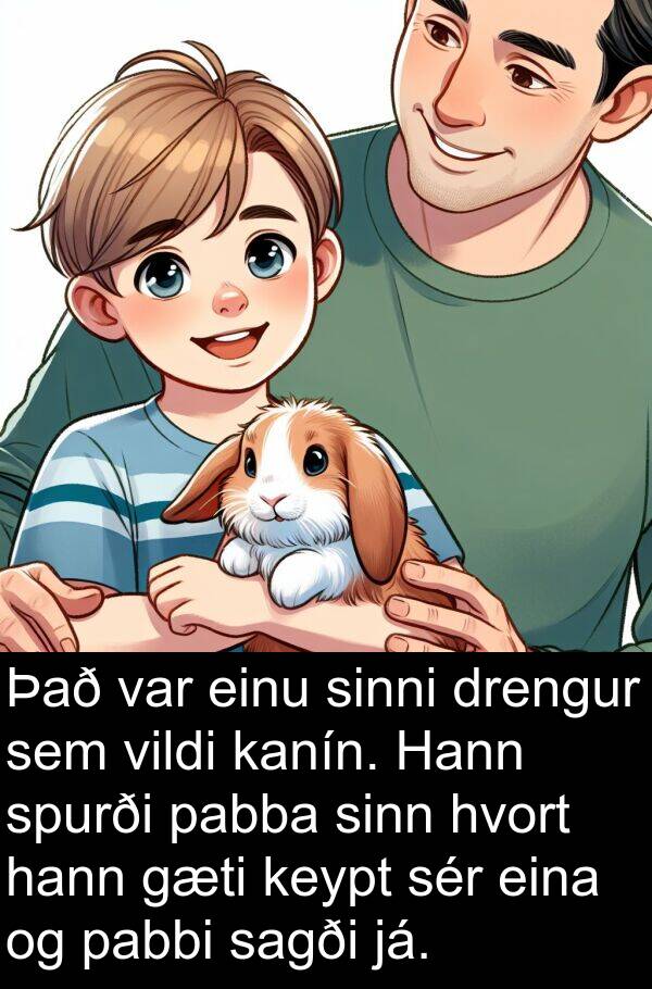 eina: Það var einu sinni drengur sem vildi kanín. Hann spurði pabba sinn hvort hann gæti keypt sér eina og pabbi sagði já.