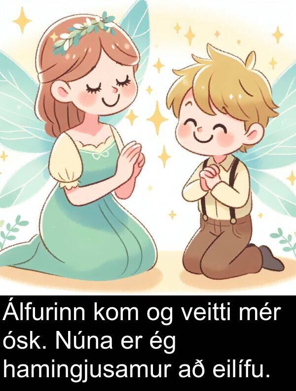 ósk: Álfurinn kom og veitti mér ósk. Núna er ég hamingjusamur að eilífu.
