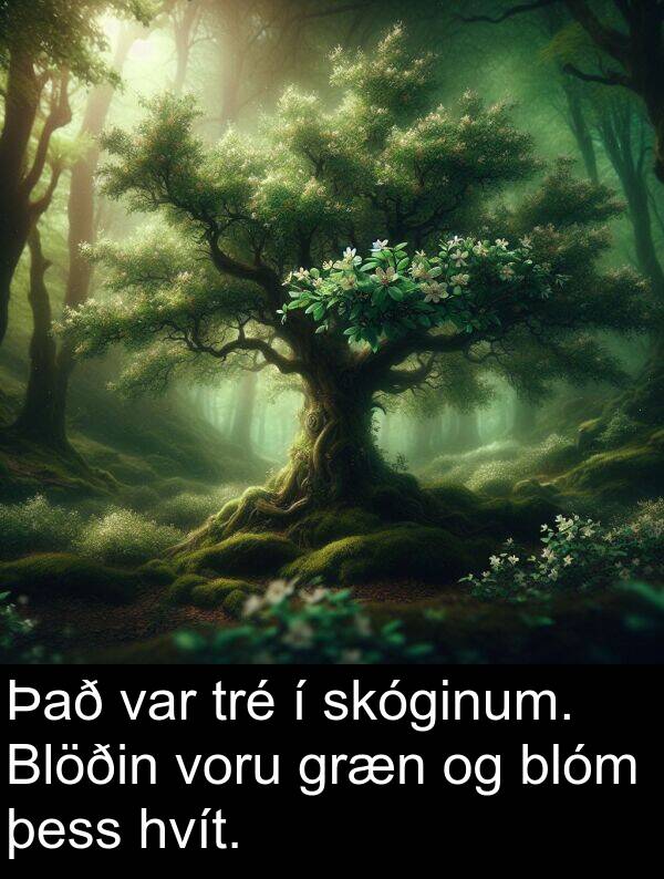 þess: Það var tré í skóginum. Blöðin voru græn og blóm þess hvít.