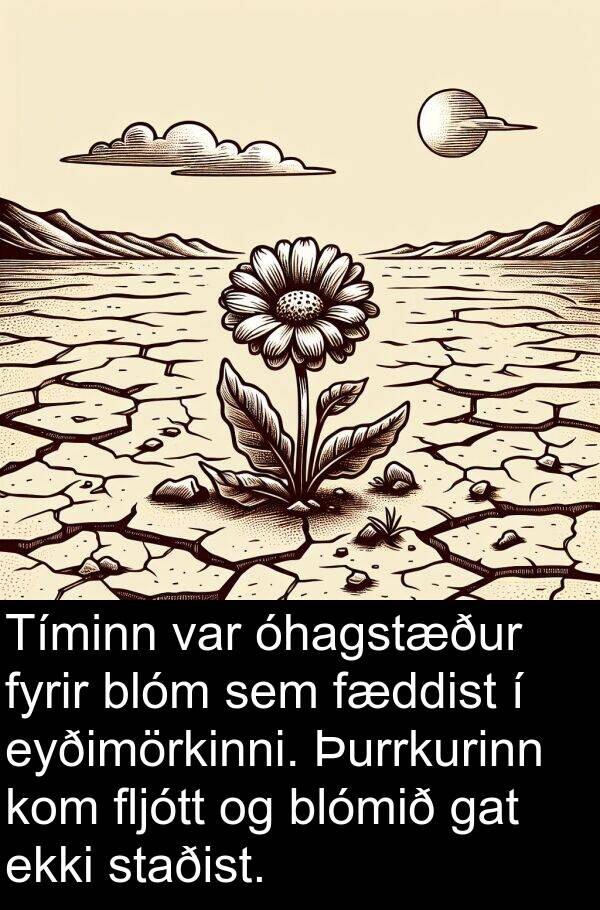 óhagstæður: Tíminn var óhagstæður fyrir blóm sem fæddist í eyðimörkinni. Þurrkurinn kom fljótt og blómið gat ekki staðist.