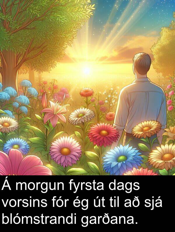 garðana: Á morgun fyrsta dags vorsins fór ég út til að sjá blómstrandi garðana.