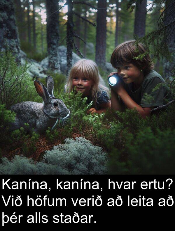 alls: Kanína, kanína, hvar ertu? Við höfum verið að leita að þér alls staðar.
