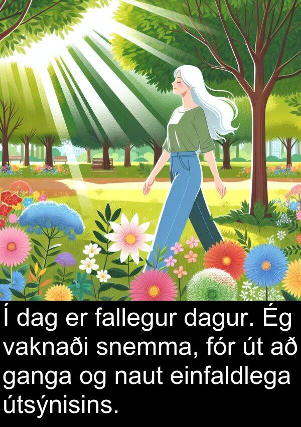 einfaldlega: Í dag er fallegur dagur. Ég vaknaði snemma, fór út að ganga og naut einfaldlega útsýnisins.