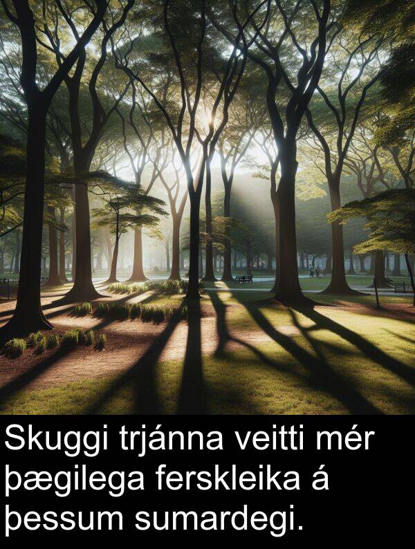 þessum: Skuggi trjánna veitti mér þægilega ferskleika á þessum sumardegi.