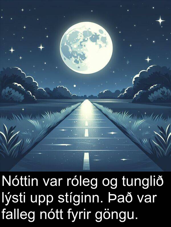 falleg: Nóttin var róleg og tunglið lýsti upp stíginn. Það var falleg nótt fyrir göngu.