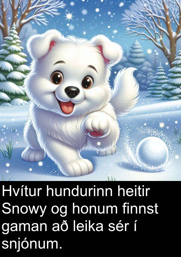 finnst: Hvítur hundurinn heitir Snowy og honum finnst gaman að leika sér í snjónum.