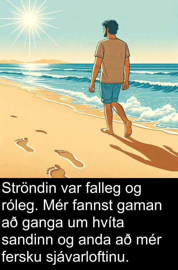 fannst: Ströndin var falleg og róleg. Mér fannst gaman að ganga um hvíta sandinn og anda að mér fersku sjávarloftinu.
