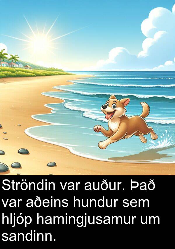 sandinn: Ströndin var auður. Það var aðeins hundur sem hljóp hamingjusamur um sandinn.