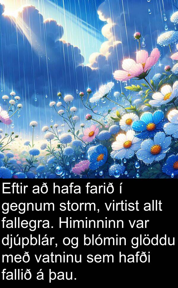 glöddu: Eftir að hafa farið í gegnum storm, virtist allt fallegra. Himinninn var djúpblár, og blómin glöddu með vatninu sem hafði fallið á þau.
