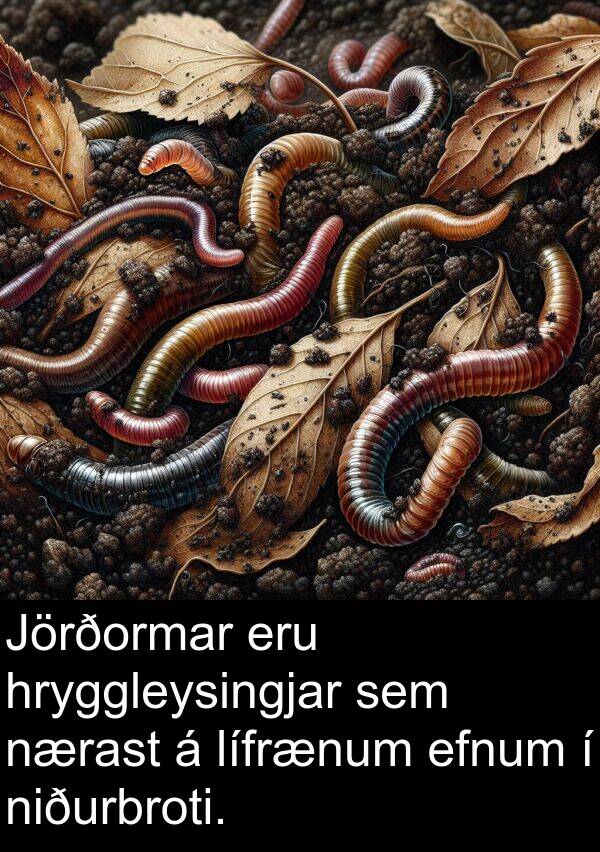 efnum: Jörðormar eru hryggleysingjar sem nærast á lífrænum efnum í niðurbroti.
