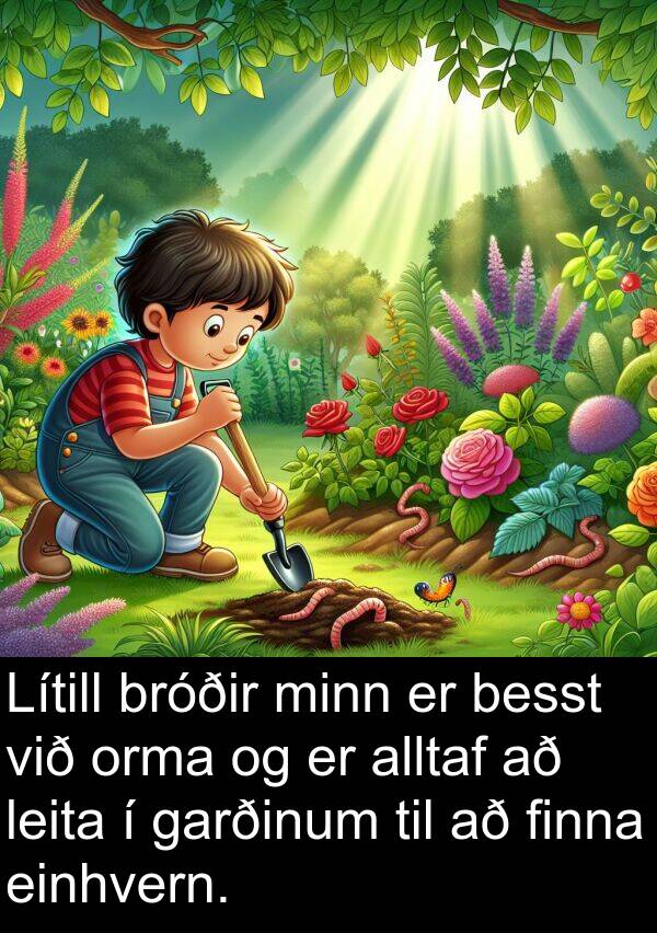 finna: Lítill bróðir minn er besst við orma og er alltaf að leita í garðinum til að finna einhvern.